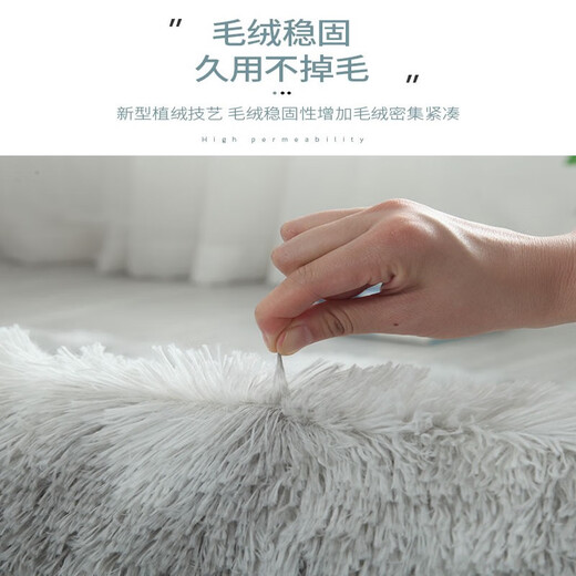 BUDIS Bedside Carpet Bedroom Carpet Living Room Carpet Silky Plush Thickened Full House Support Customization White 200*300CM Large Living Room