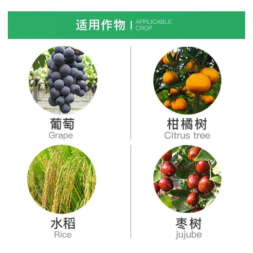 Qibao American 20% gibberellic acid 920 plant growth regulating gibberellin grape germination pesticide elongation agent 1g*1000 bags