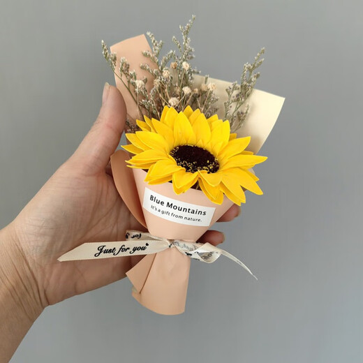 Wilkie pocket bouquet mini small bouquet holding roses dried flowers fake flowers Teacher's Day gift meeting flowers romance in pocket [a bouquet of red roses]