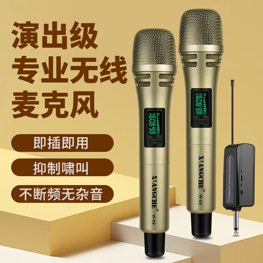 Ringing Wireless Microphone Handheld Microphone Outdoor Performance Singing Audio Amplifier Universal Anti-Howling U-section Hosting Conference Training Speech Trolley Speaker One to Two Wireless Microphone Champagne Gold