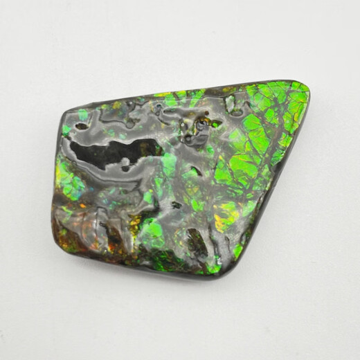 Fanluxe Canadian Ammonite Sample Crushed Stone Edge Material Crushed Stone Fossil Ornament Collection C Grade (One will be shipped randomly)