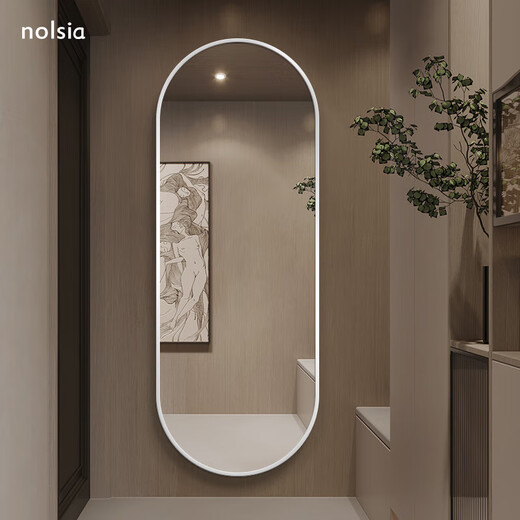 nolsia light luxury full-body dressing mirror bedroom wall-mounted home large mirror oval aluminum frame dressing mirror light luxury gold 40*150