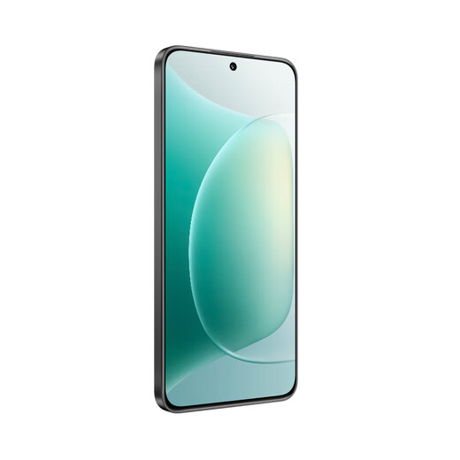 Honor 300 new 5G mobile phone, ultra-thin small straight screen, DSLR-level Yagu portrait, Honor Oasis eye protection screen, ink rock black, 12GB+256GB, one-year screen breakage insurance + three-year warranty, official standard configuration