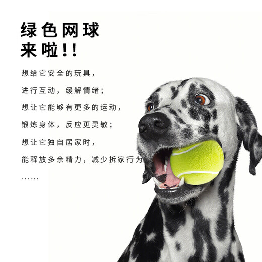 EETOYS Green Tennis Dog Toy Sound Interactive Washable Teeth Cleaning Ball Pet Supplies