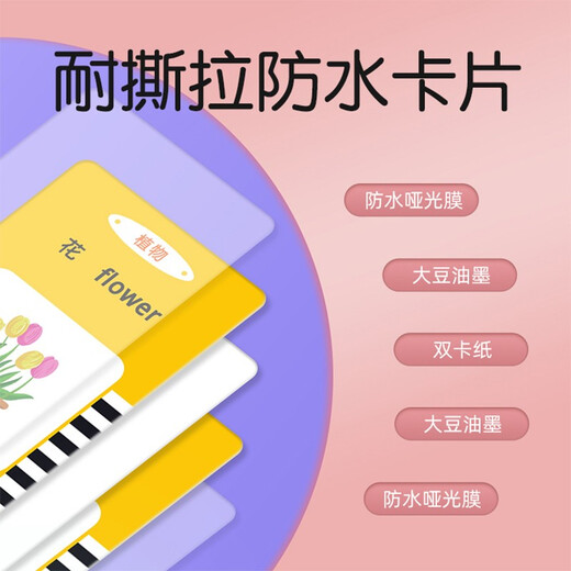 cindybaby儿童插卡的早教机双语学习机幼儿园中英文启蒙英语玩具卡片3-6岁 旗舰粉 早教机+232个有声卡