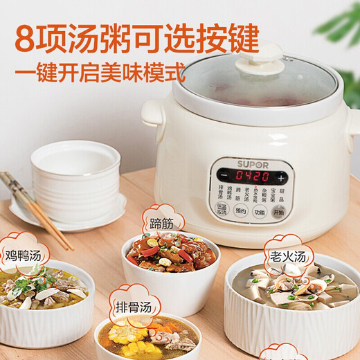 SUPOR ELECTRIC POT POT MAISON STANG ÉLECTRIQUE POT ORIGINAL MINDE PUPLE POT PORT INTERT