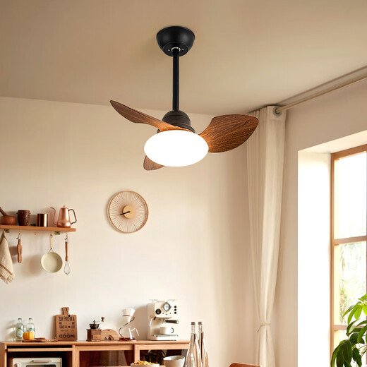 Weather vane modern simple ceiling fan light children's room bedroom study full spectrum eye protection light intelligent voice ceiling fan light Elf 32-723A ceiling - black + deep wood grain leaves Full spectrum + changing light remote control