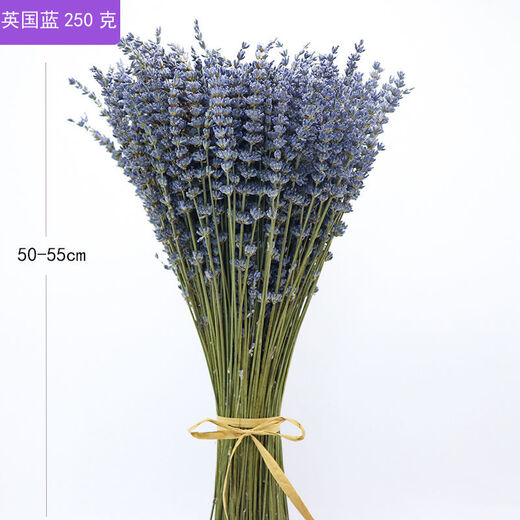 AIMAN dried lavender bouquet living room home decoration natural dried bouquet real flower aromatherapy internet celebrity flower arrangement ins gift 250g British blue half Jin Jin is equal to 0.5kg long style new summer flowers all in English newspaper packaging