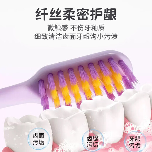 Limpieza y protección de las encías Cepillo de dientes suave de cerdo de dientes