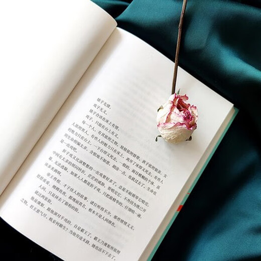 Farewell My Concubine + Dumpling Li Bihua's Works Series Set 2 Classic Movies Original Chinese Modern and Contemporary Literary Novels 9787513311762 11762