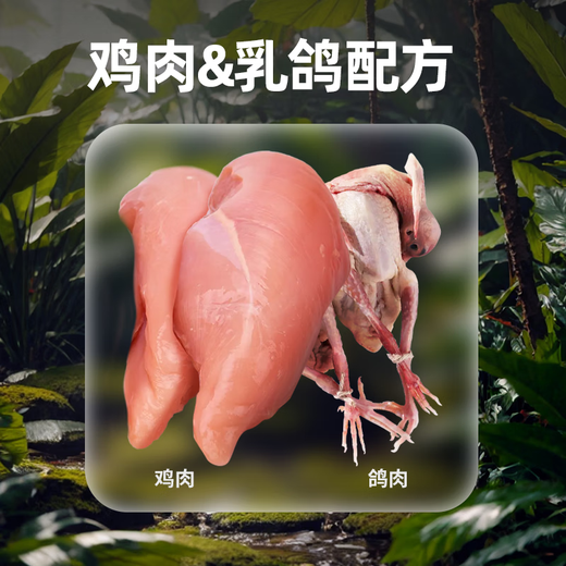 Runhuanian Jungle Captain Squab Cat Food Full Price High Protein Full Stage Prebiotics Care for Glass Stomach Chicken Squab Flavor 1kg