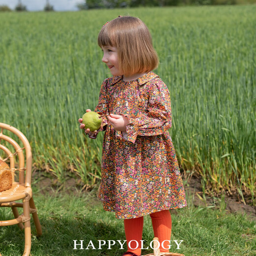 Happyology British children's dress embroidered Smak girls' skirt spring and autumn style long-sleeved dress forget-me-not flower sea 104 (104cm)