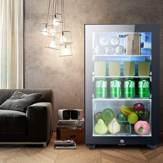 SAST ice bar refrigerator European style constant temperature wine cabinet office hotel home refrigerator mini small single door gaming tea preservation cabinet display sample beverage medicine cabinet 90 liters white bile (fully refrigerated preservation + blue light + lock)