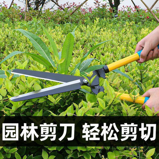 Yanran garden pruning shears, green lawns, hedge shears, large flower shears, garden pruning tools, special scissors for pruning branches, thick and super hard (1 pack)