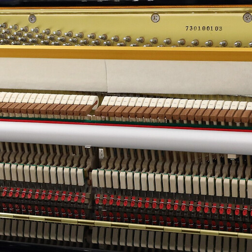 Xinghai [25 years new upgrade] XU200 vertical piano imported accessories for beginner grade exam universal 88 keys