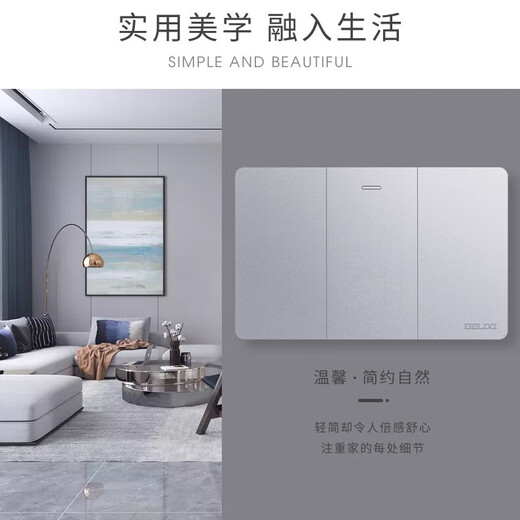 Delixi 691 silver 118 switch socket long hairstyle ten hole socket open double five hole 2 position 5 hole concealed wall plug (2 position) 5 hole with USB