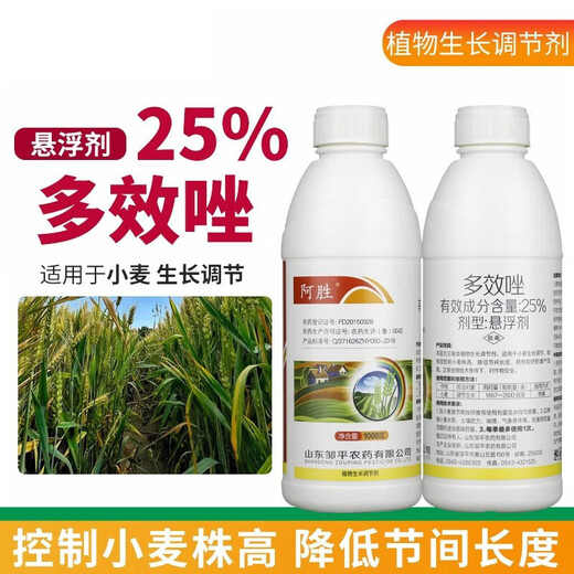 25% paclobutrazol citrus lychee fruit tree rice wheat growth control agent chlormequat pesticide plant growth regulator 500g