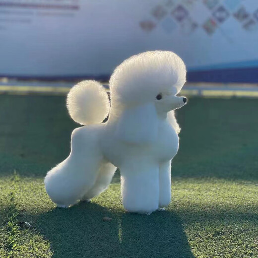 It It Rui Pet Beauty Practice Teddy VIP Fake Hair Model Fake Dog Hair Fake Head Hair Fake Back Hair Full Body Hair Individual Teddy Model Skeleton