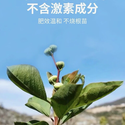 Stanley long-acting slow-release fertilizer, compound fertilizer, general fertilizer for planting flowers, vegetables, fruit trees, vegetables, flowers and green leafy plants. Stanley slow-release fertilizer five Jin Jin is equal to 0.5 kg. Bulk sample