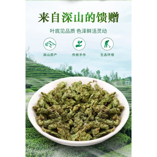 Grünes Geld Willow Tee Blätter goldenes Geld Willow Tender Blätter alter Baum zarte Blätter Jiangxi Xiushui Grün Geld Willow Tee Gold 500 Jahre alte alte Baumpellets 250 Gramm