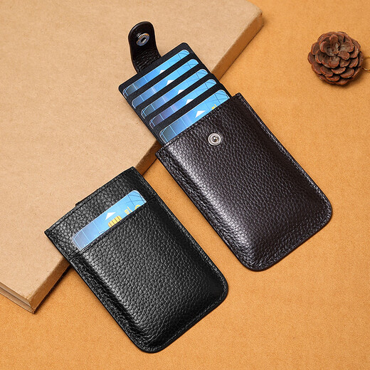 Jingjia Carte Sac