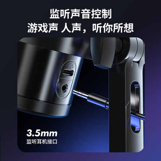 Newmine ZM09 Computer Microphone Professional Radio Microphone Game Noise Reduction Microphone Desktop Desktop USB Microphone Voice Live Karaoke Video Conference Dubbing Professional Condenser Microphone