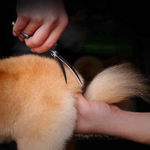 Lubo pet scissors, special hair trimming scissors for grooming, dog Teddy hair cutting curved scissors, cat hair trimming scissors, special downward curved scissors (trimming arcs and other shapes)