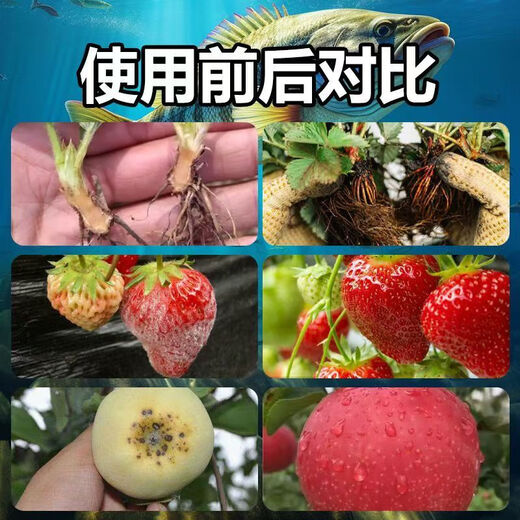 Hellman seaweed fish protein puree live bacteria enhanced rooting, seedling expansion and fruit agricultural organic water-soluble fertilizer universal seaweed fish protein 20kg*1 barrel