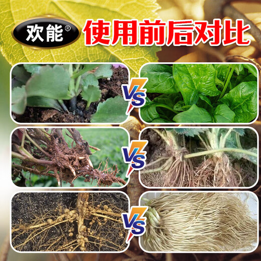 Huaneng Explosive Root Vegetable and Fruit Tree Fertilization Powerful Rooting and Seedling Water-soluble Fertilizer Barrel Explosive Root Root Multi-rooting Agent Explosive Root 999 20kg*1 barrel