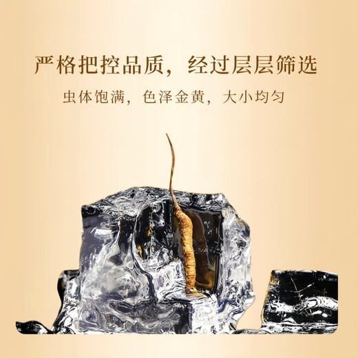 Cordyceps gift box selection of high-altitude Cordyceps unbroken grass high quality gifts for self-eating nourishing and health care Tibet Nagqu Cordyceps 2 roots 1g total 10 pieces