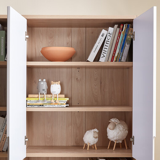 Quanyou Home Bookcase Simple Modern Bookcase 2 Doors 3 Doors Optional Combination Study Furniture Storage Cabinet