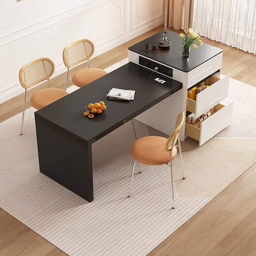 Pashaman Dining Table Rock Slab Island Dining Table Integrated Open Kitchen Small Apartment Telescopic Dining Table and Chair Combination Advanced 1745y Caterpillar Dining Chair 4 (1047p) 12 mm M Rock Panel Rock