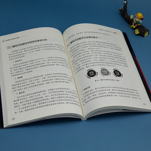 企业数字化转型全攻略9787302**7027
