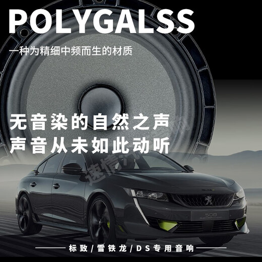 FOCAL劲浪标致汽车音响408 508 5008 DS9 DS7 DS5雪铁龙天逸c6专车喇叭 进口8喇叭套餐二