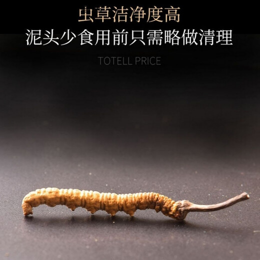 Ivanmai Authentic Cordyceps Cordyceps Cordyceps Cordyceps non-cut grass tube-installed with extra large root gift box Yivanmai Two bottles of 10 pieces are given one bottle up to 15 pieces