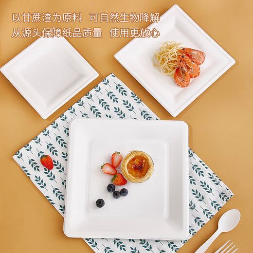 Youao disposable plates square 8 inches (pack of 20) large biodegradable paper plates outdoor barbecue tableware no wash
