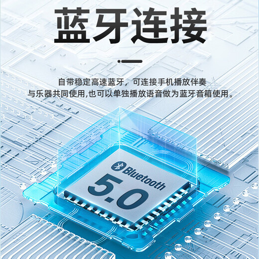 DBAO智乐管自带蓝牙混响智能电子吹管新手学生中老年入门自动笛子 白色+1个吹嘴+赠送充电线