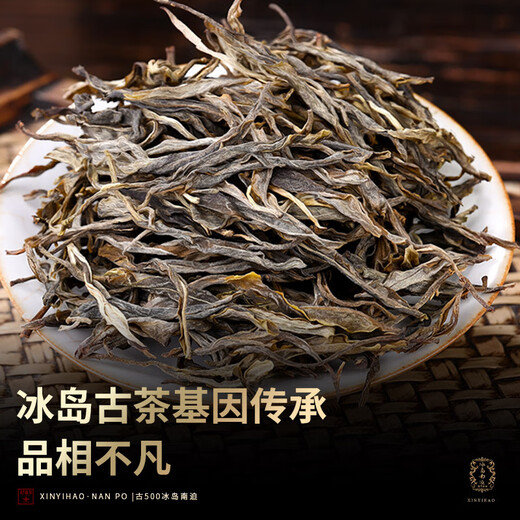 新益号茶叶普洱茶生茶 古500冰岛南迫春茶古树茶生普洱散茶礼盒装500g