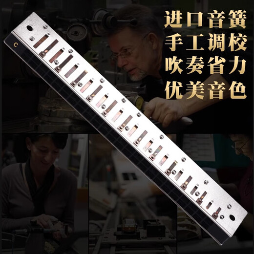 东方鼎德国进口音簧28孔复音c调口琴高级成人初学者重音AFG调专业演奏级 28孔银色复音C调
