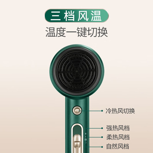 AUX Hair Dryer Home Negative Ions Will Not Damage Hair 1800W High Power High Wind Hair Dryer Dormitory Use Low Power Mini Portable Hair Dryer AH7800 Emerald 1800W