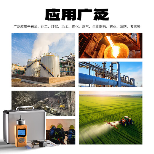 Plitton pump-suction four-in-one gas detector explosion-proof limited space oxygen carbon monoxide flammable hydrogen sulfide pump-suction four-in-one gas detector