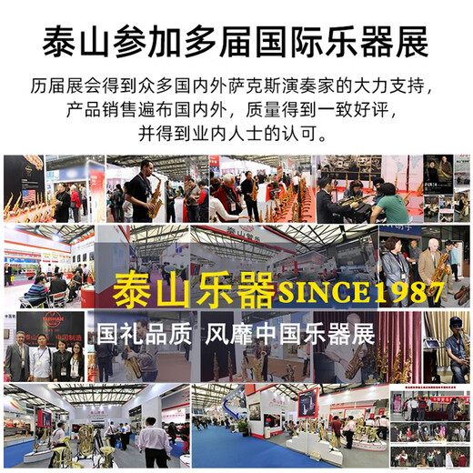泰山中音萨克斯乐器 泰山萨克斯专业级降e调中音萨克斯TSAS-6000 TSAS-6000中音演奏（经典款）