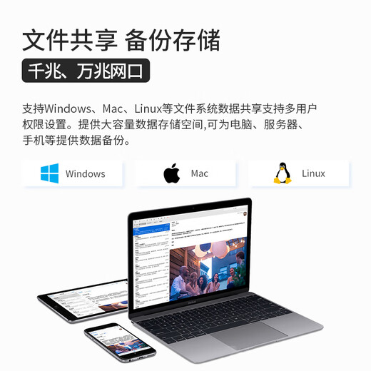 火蓝（Hoodblue）TS5000-2CN国产自主可控存储服务器国产信创龙芯NAS网络存储器磁盘阵列服务器 TS5024-2CN-288TB