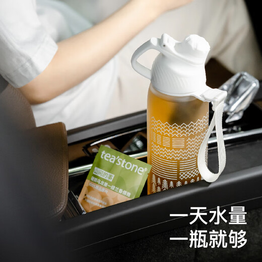 Teastone sports water cup large capacity kettle cup cold brew cup outdoor fitness cold brew tea cup tea water separation 950ml