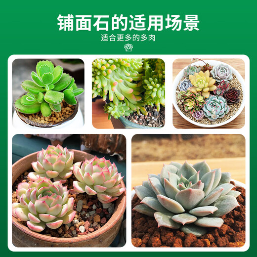 Devodore Lunuma почва 5 л (3-6 мм) дно цветочного горшка смешанная почва засыпка водоудерживающая дышащая цветочная брусчатка с сочными цветами