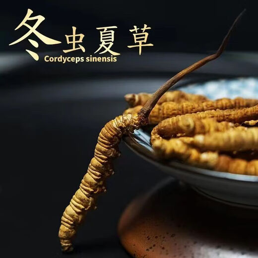 冬虫夏草 高海拔正品虫草 传统滋补品 送礼佳品 3根/克 共60根