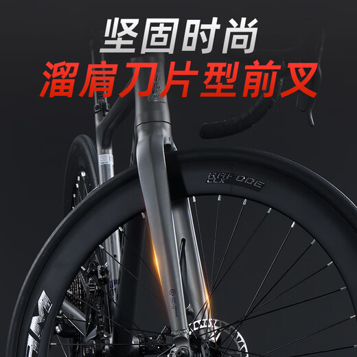 Raleigh Lanling Road Bike Innen in der Hidden Line Aluminiumlegierung erwachsene Männer und Frauen Teenager Student Racing Bike Night Shadow Knight Gray Integrierte Hidden Line 700C (geeignet für Höhe 165-195 cm) 16 Geschwindigkeit Blaupause R3 Gate Transformation Line Disc Disc