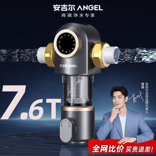Angel Frontwasserreiniger Ganzhause Filter Haushaltswasserreiniger Ganzes Hausreinigung Rückspülung 3524 Vorfilter 3524 KOSTENLOSE Installation
