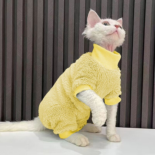 秋冬装打底无毛猫衣服斯芬克斯卫衣复古猫咪可爱小型宠物衣服潮牌