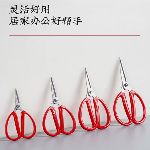 Zhang Xiaoquan scissors household small stainless steel round head scissors office large paper cutting life scissors kitchen scissors extra small 125mm (single handle)